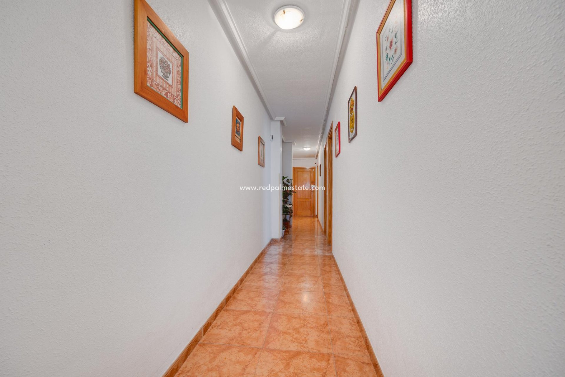 Herverkoop - Appartement -
Torrevieja - Center