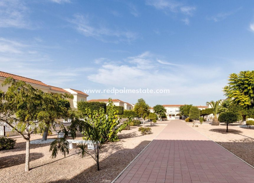 Herverkoop - Appartement -
Torrevieja - Center