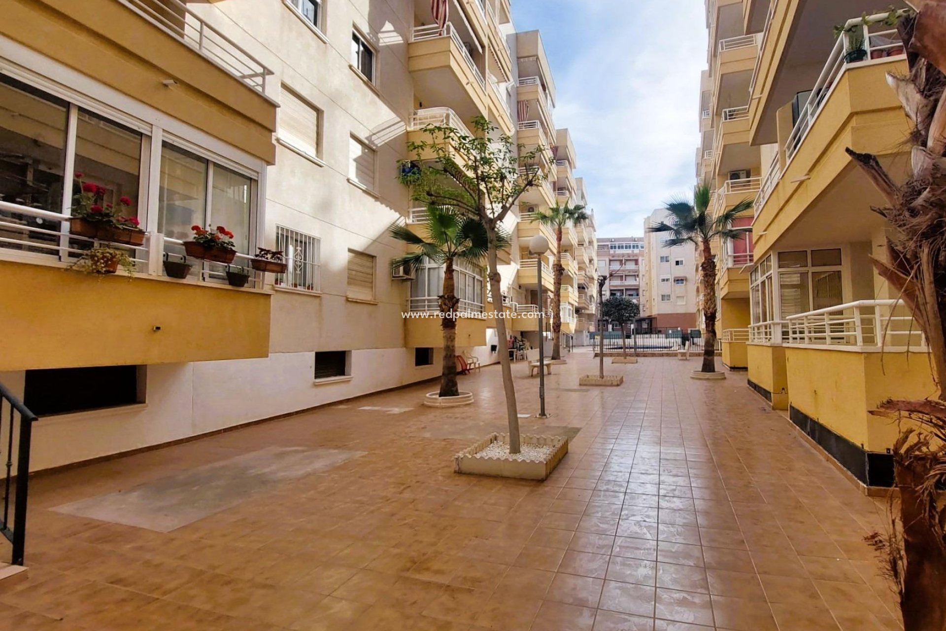 Herverkoop - Appartement -
Torrevieja - Costa Blanca