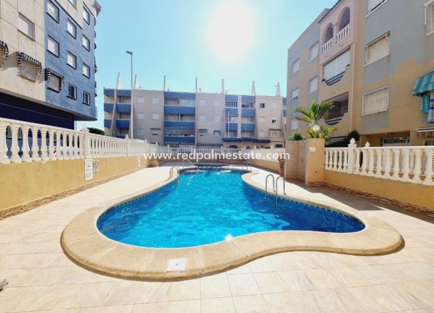 Herverkoop - Appartement -
Torrevieja - Costa Blanca