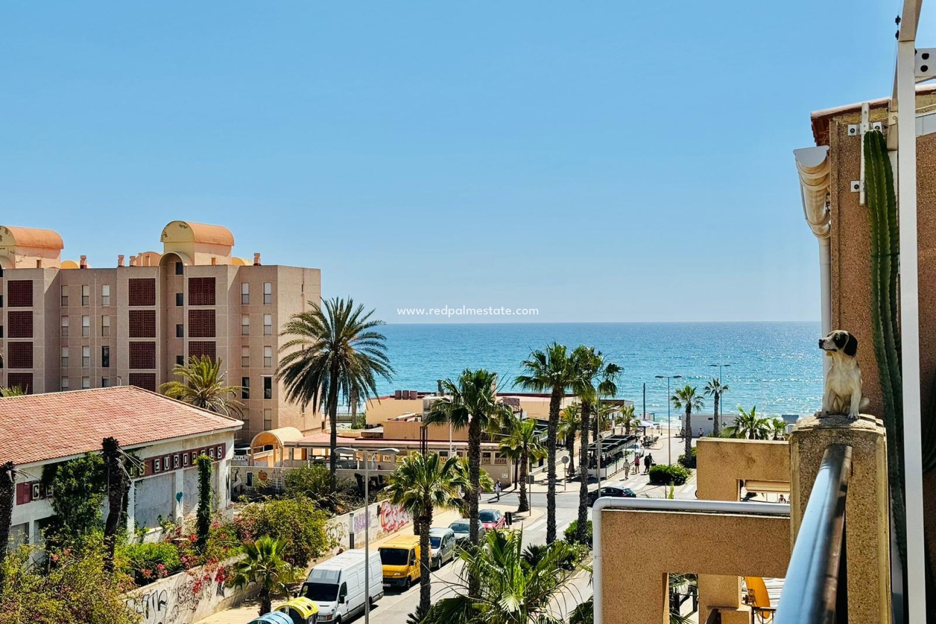 Herverkoop - Appartement -
Torrevieja - Costa Blanca