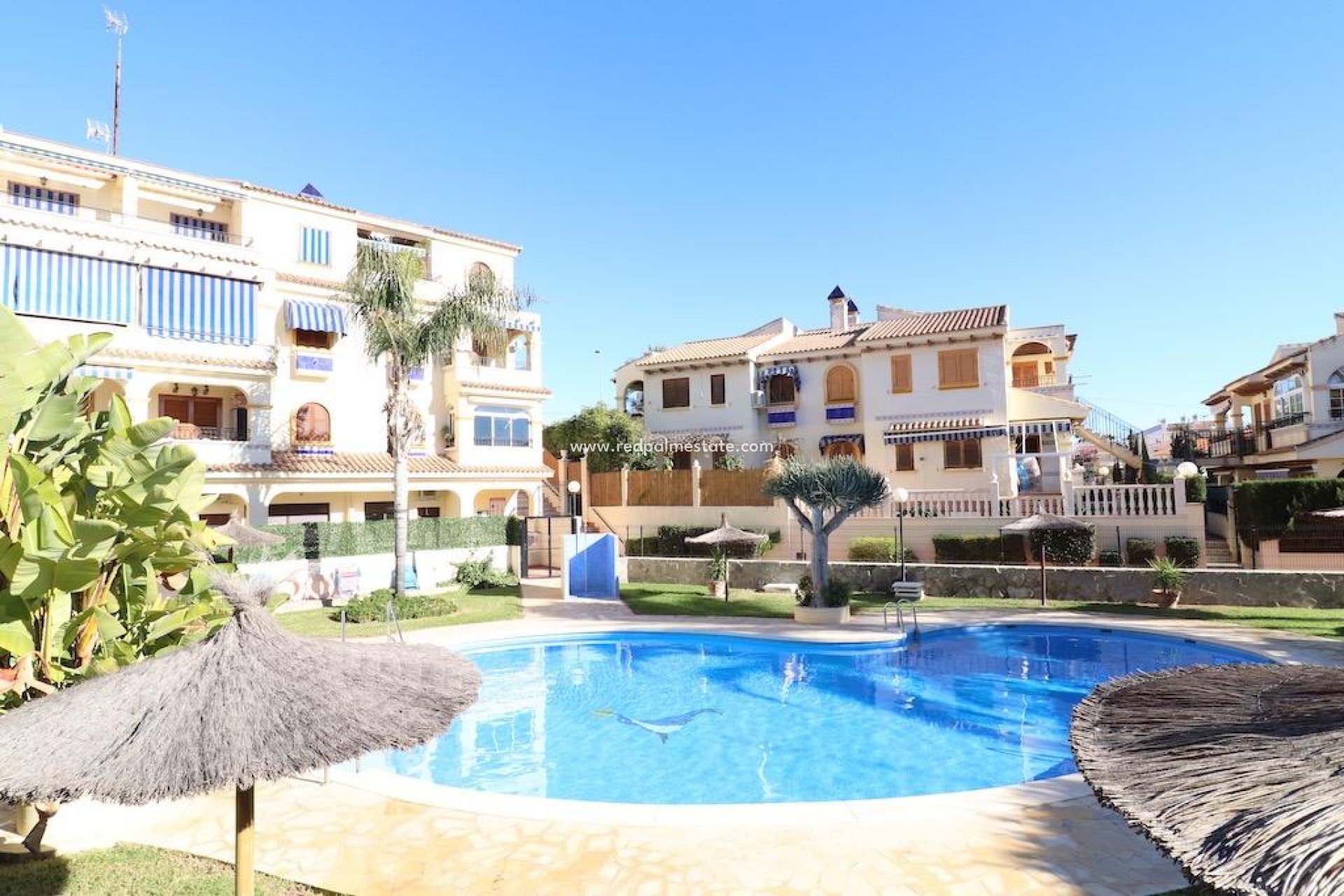 Herverkoop - Appartement -
Torrevieja - Costa Blanca