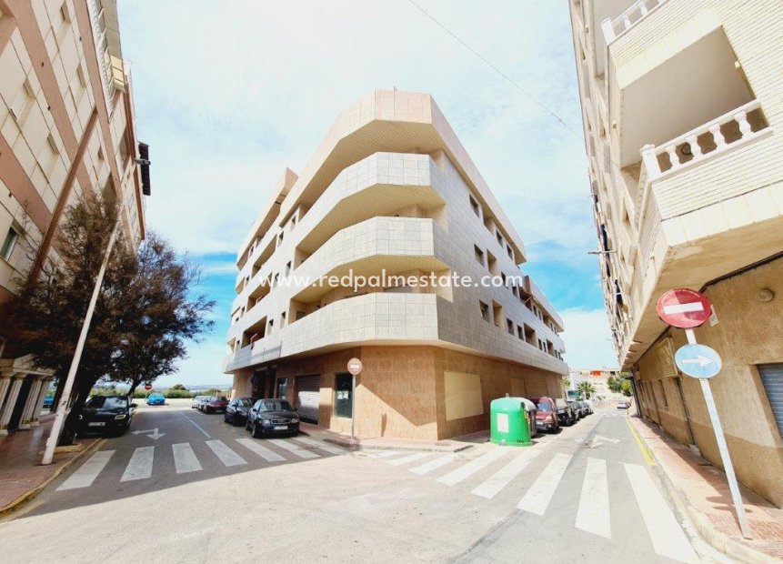 Herverkoop - Appartement -
Torrevieja - Costa Blanca