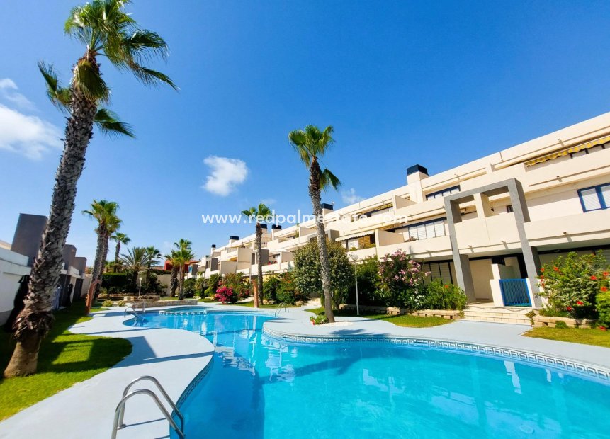 Herverkoop - Appartement -
Torrevieja - Costa Blanca