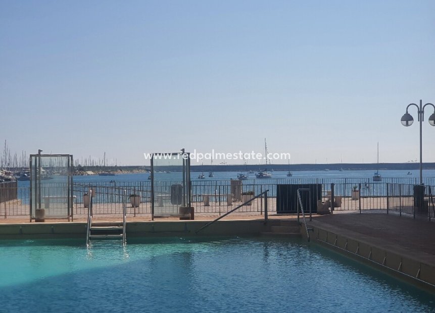 Herverkoop - Appartement -
Torrevieja - Costa Blanca