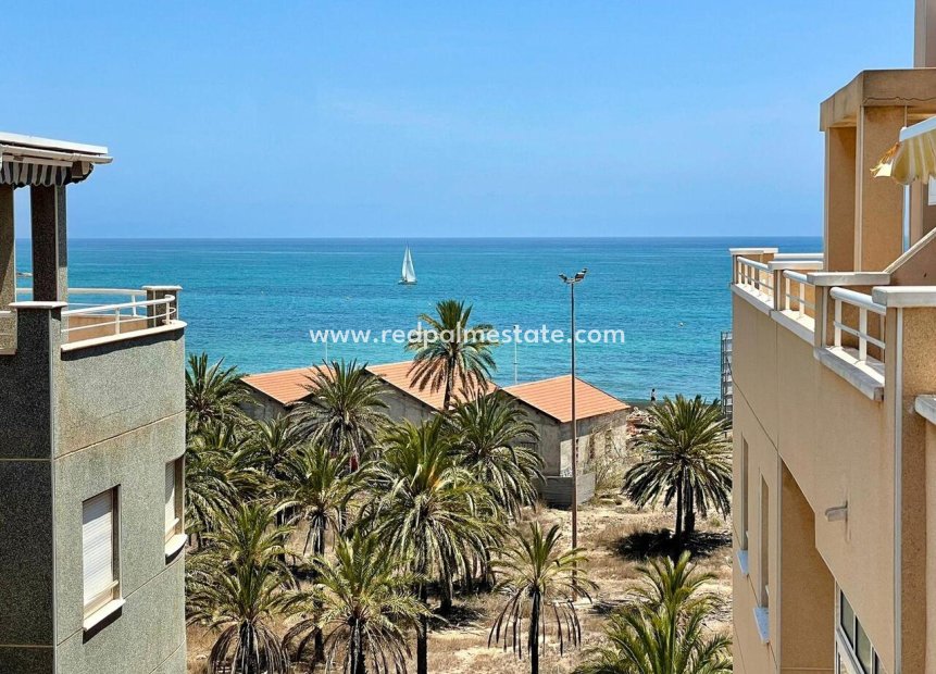 Herverkoop - Appartement -
Torrevieja - Costa Blanca