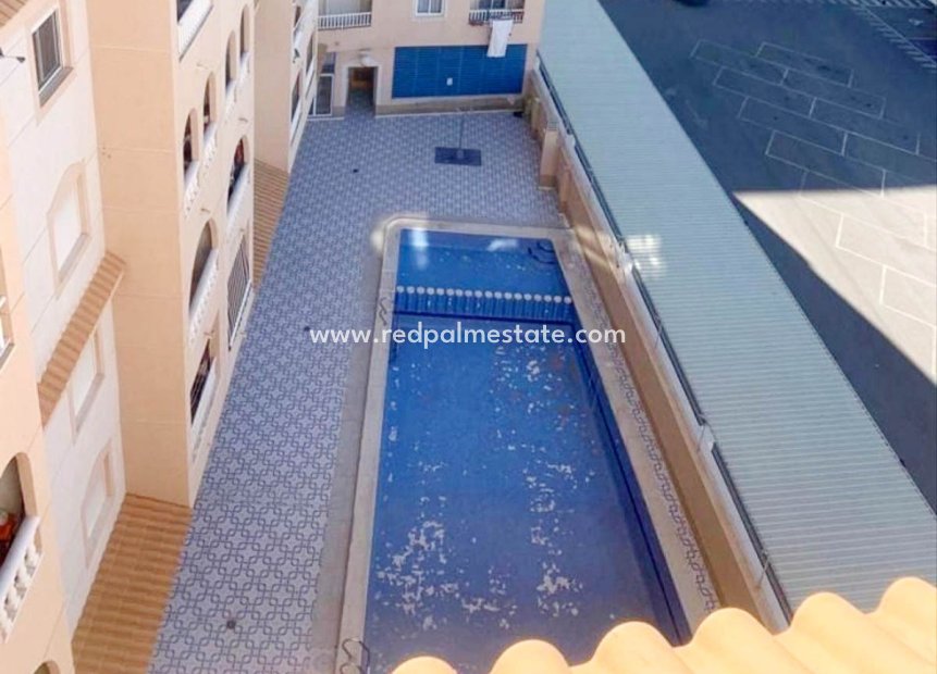 Herverkoop - Appartement -
Torrevieja - Costa Blanca