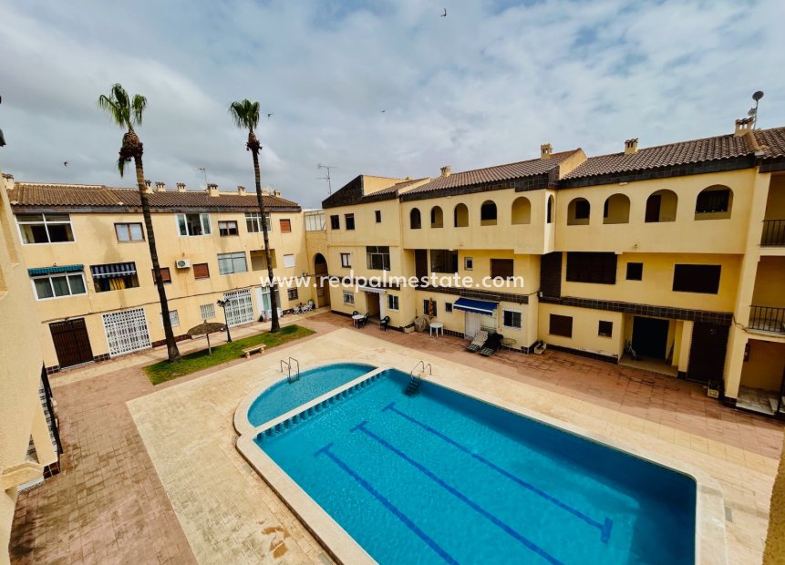 Herverkoop - Appartement -
Torrevieja - Costa Blanca