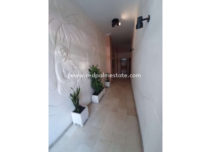 Herverkoop - Appartement -
Torrevieja - Costa Blanca