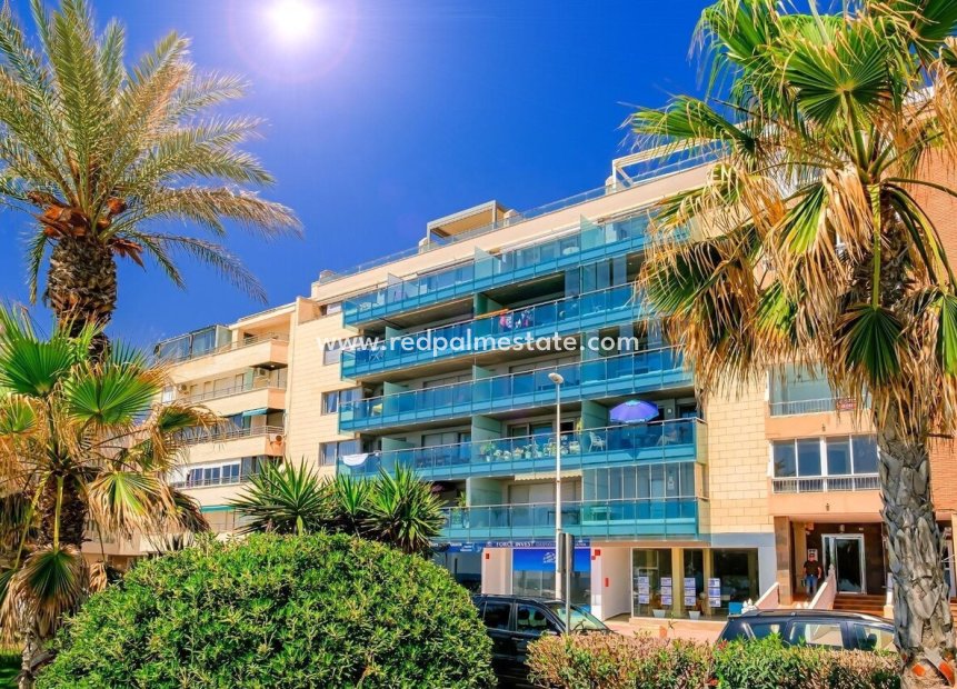 Herverkoop - Appartement -
Torrevieja - Costa Blanca