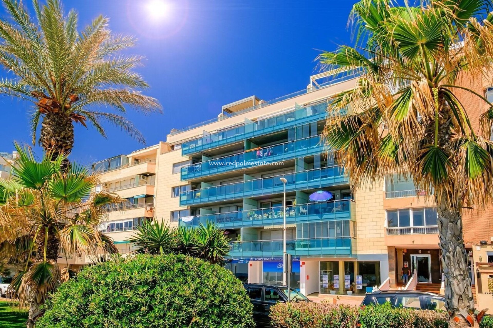 Herverkoop - Appartement -
Torrevieja - Costa Blanca