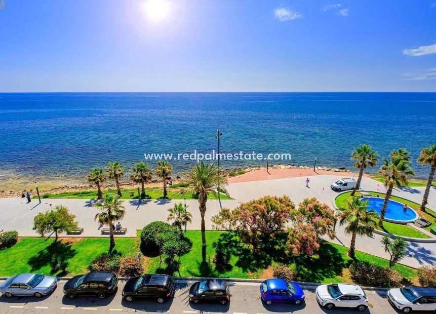 Herverkoop - Appartement -
Torrevieja - Costa Blanca