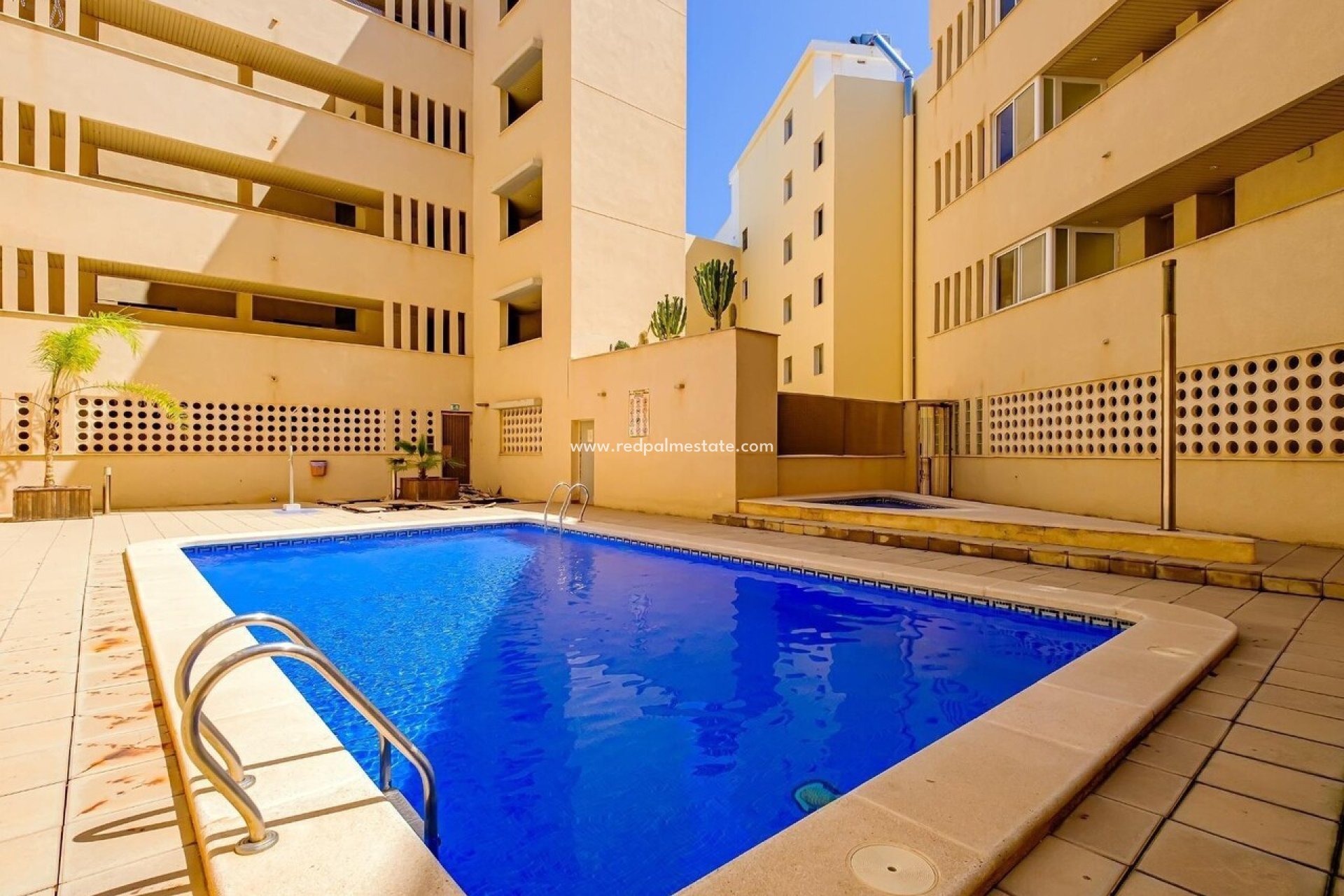 Herverkoop - Appartement -
Torrevieja - Costa Blanca