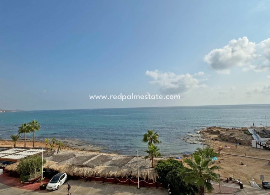 Herverkoop - Appartement -
Torrevieja - Costa Blanca