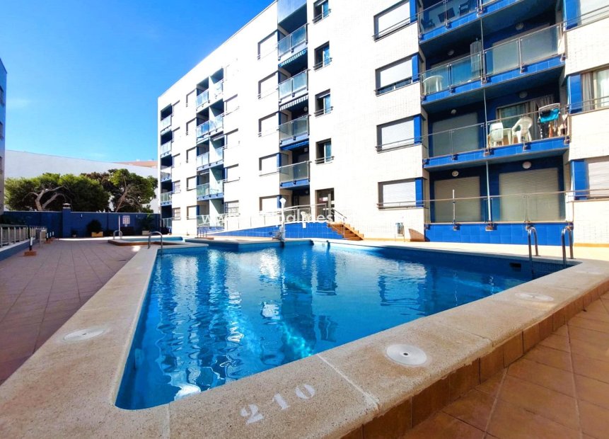 Herverkoop - Appartement -
Torrevieja - Costa Blanca