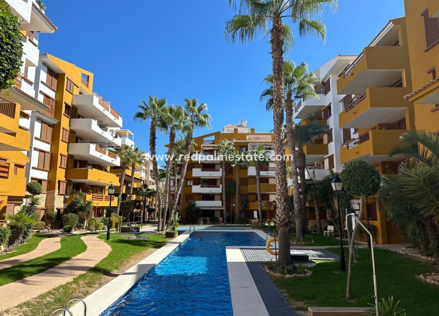 Herverkoop - Appartement -
Torrevieja - Costa Blanca