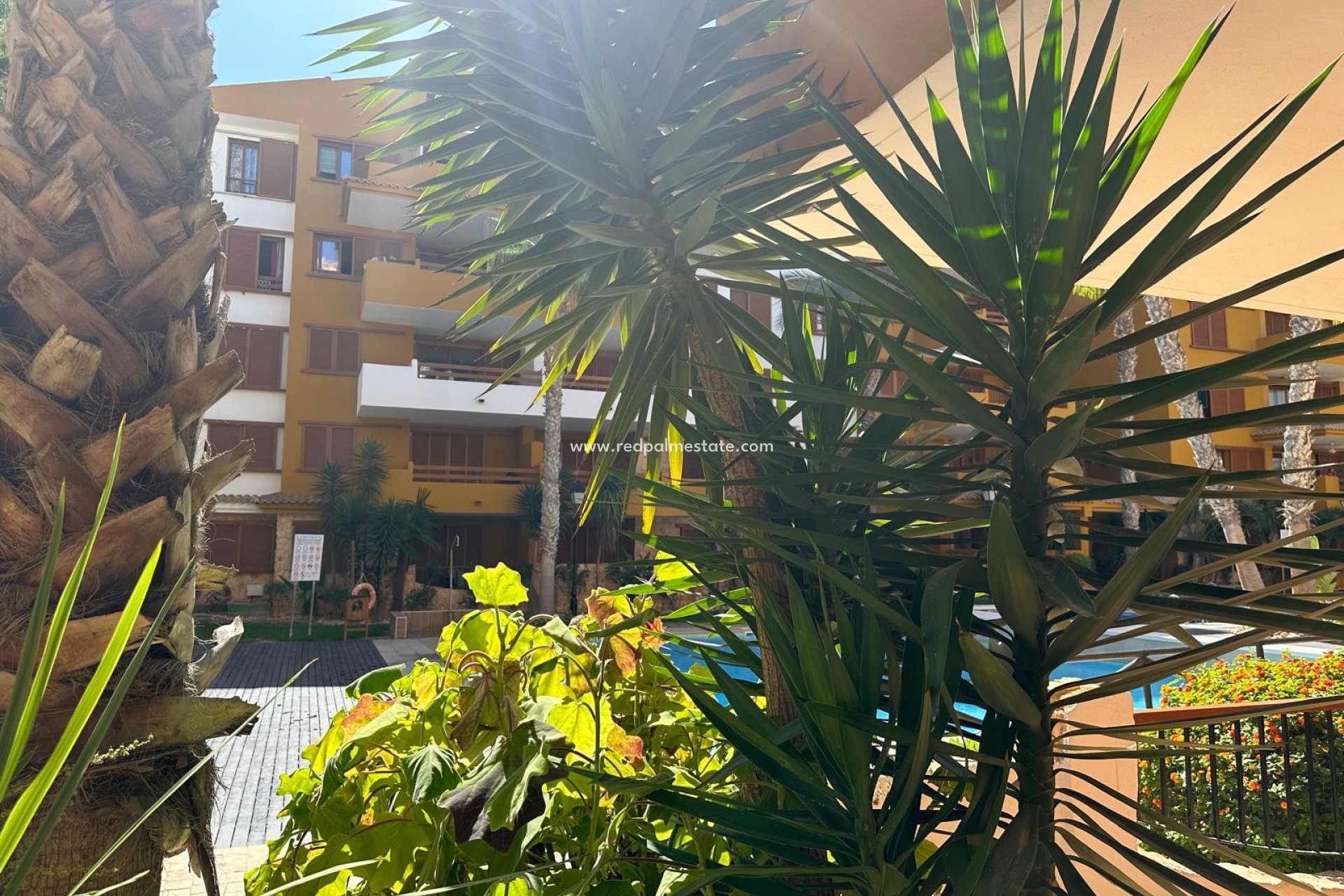 Herverkoop - Appartement -
Torrevieja - Costa Blanca