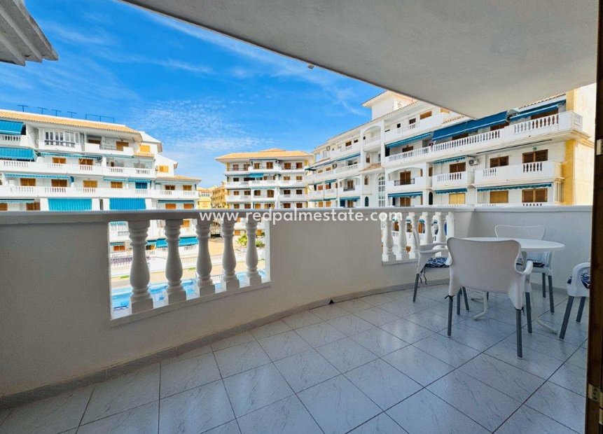 Herverkoop - Appartement -
Torrevieja - Costa Blanca