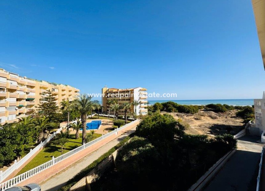 Herverkoop - Appartement -
Torrevieja - Costa Blanca