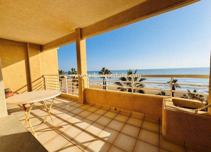 Herverkoop - Appartement -
Torrevieja - Costa Blanca