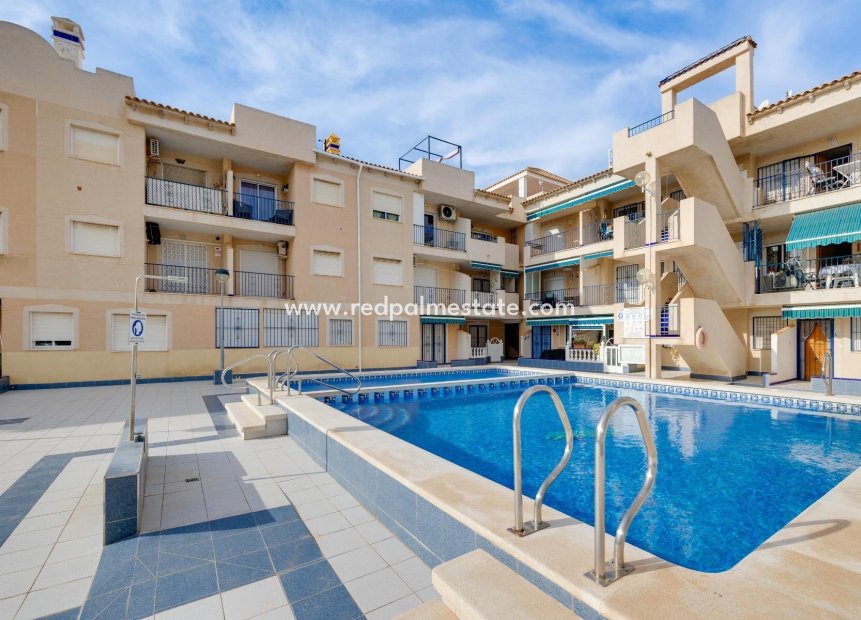 Herverkoop - Appartement -
Torrevieja - El Acequión - Los Náufragos