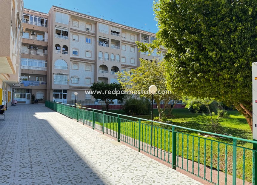 Herverkoop - Appartement -
Torrevieja - El Acequión - Los Náufragos