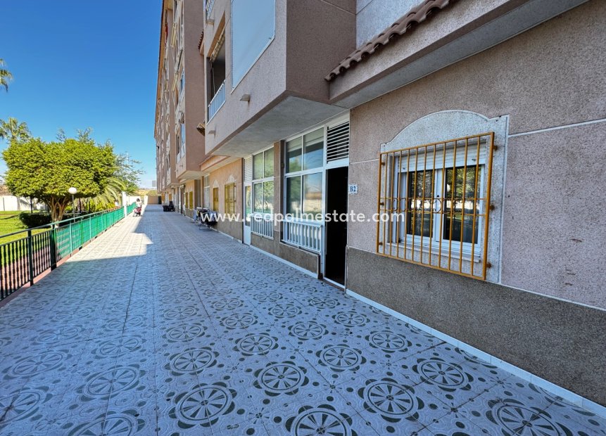 Herverkoop - Appartement -
Torrevieja - El Acequión - Los Náufragos