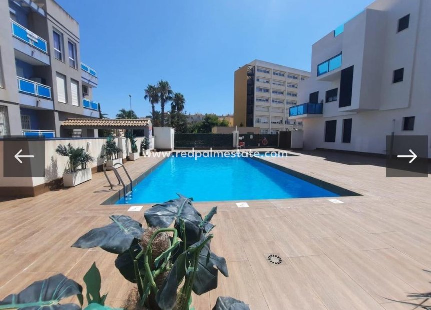 Herverkoop - Appartement -
Torrevieja - El molino