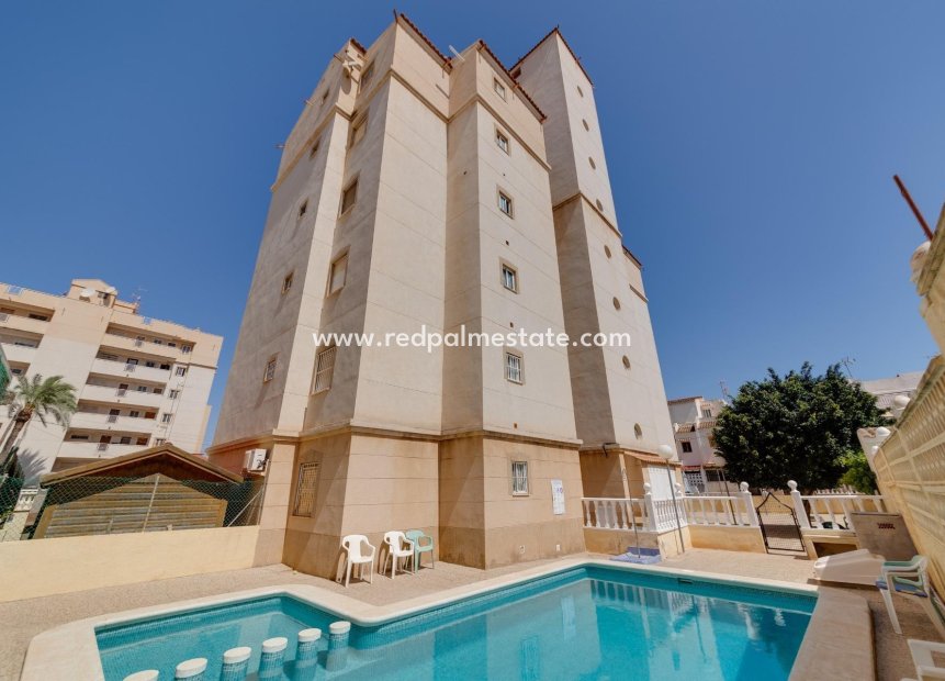 Herverkoop - Appartement -
Torrevieja - Estacion de autobuses