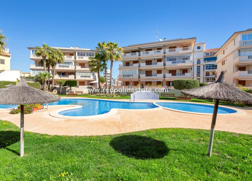 Herverkoop - Appartement -
Torrevieja - La Mata