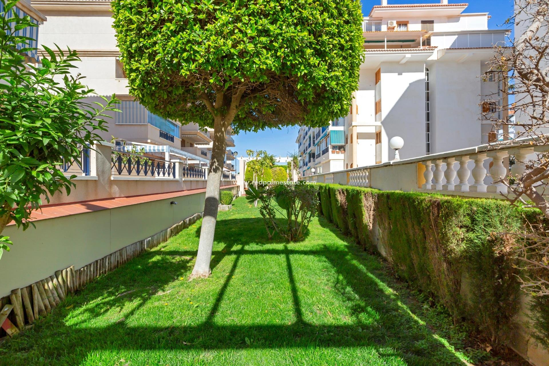 Herverkoop - Appartement -
Torrevieja - La Mata