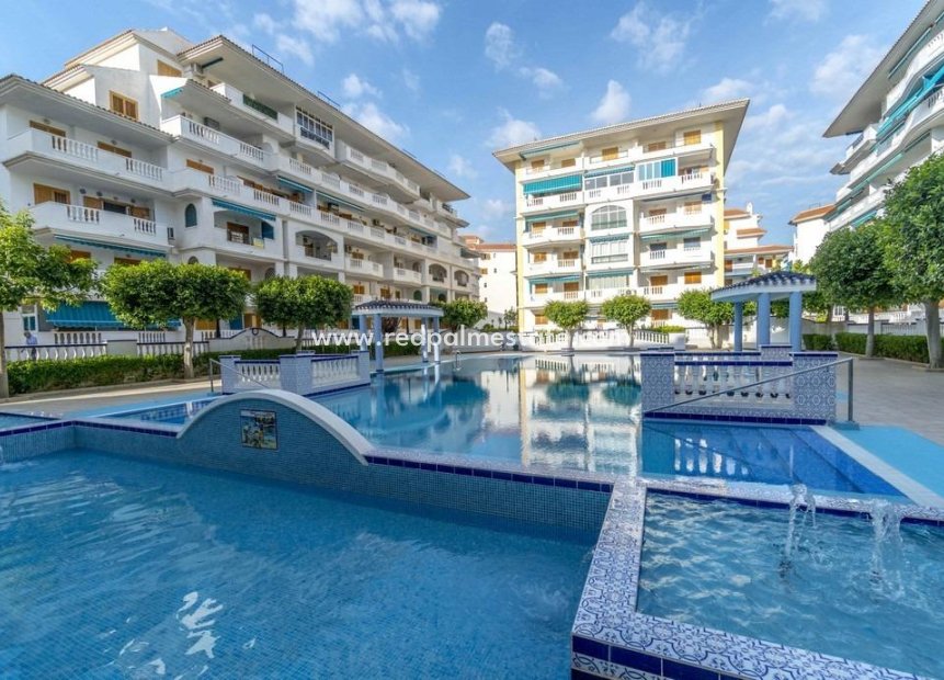 Herverkoop - Appartement -
Torrevieja - La Mata