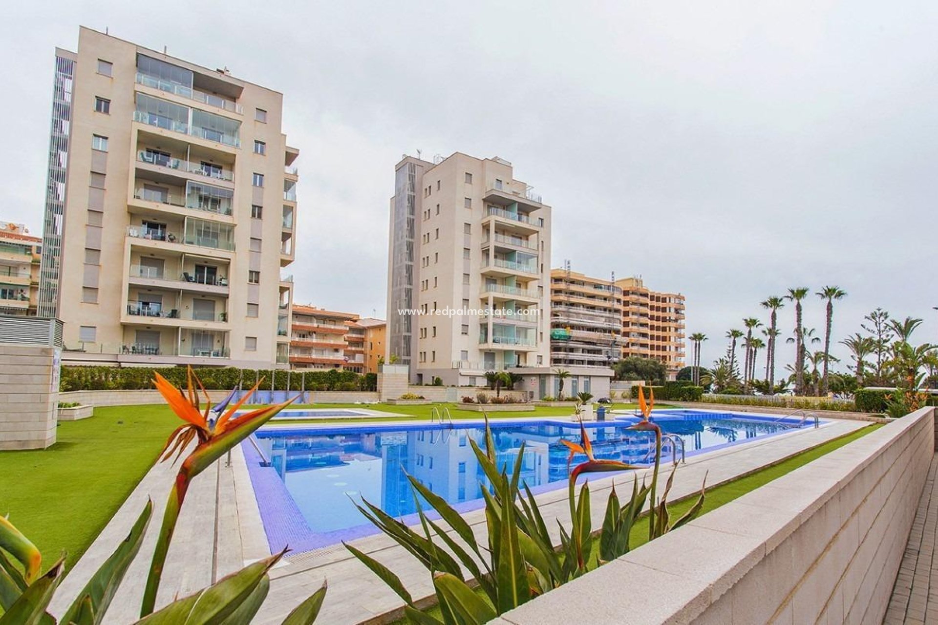 Herverkoop - Appartement -
Torrevieja - La Mata