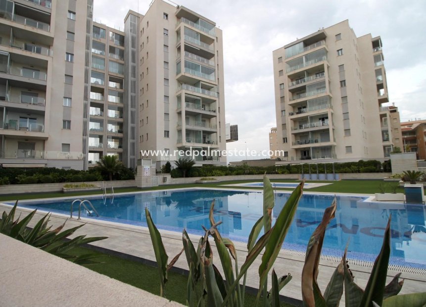 Herverkoop - Appartement -
Torrevieja - La Mata