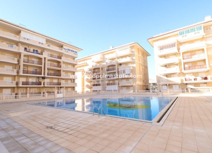 Herverkoop - Appartement -
Torrevieja - La Mata