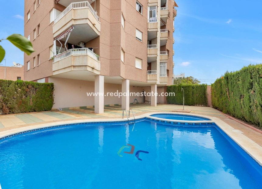 Herverkoop - Appartement -
Torrevieja - Nueva Torrevieja - Aguas Nuevas