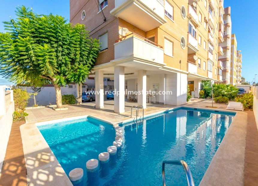 Herverkoop - Appartement -
Torrevieja - Nueva Torrevieja