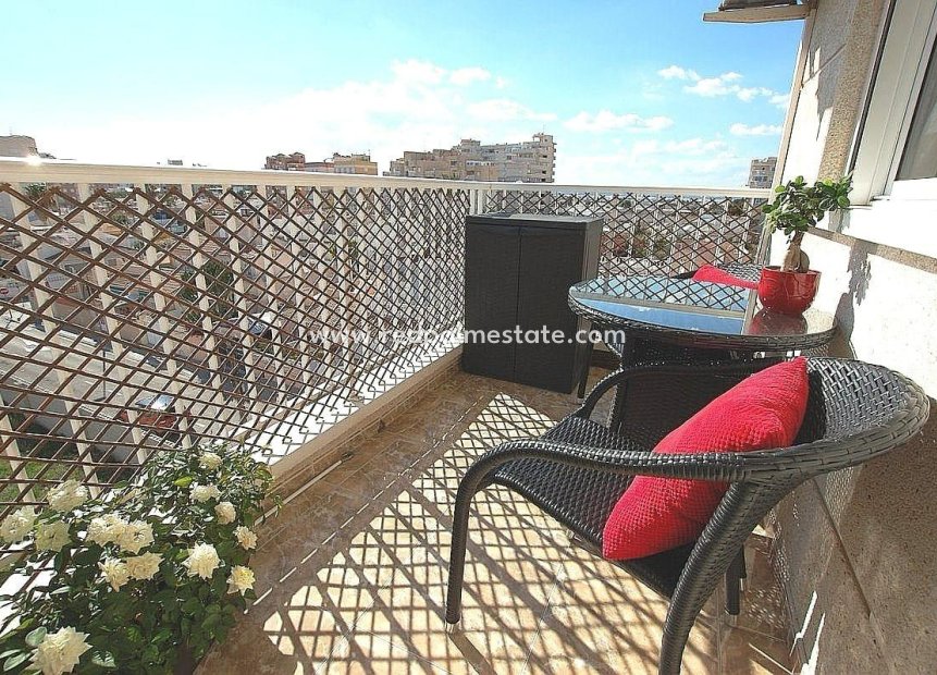 Herverkoop - Appartement -
Torrevieja - Parque las naciones