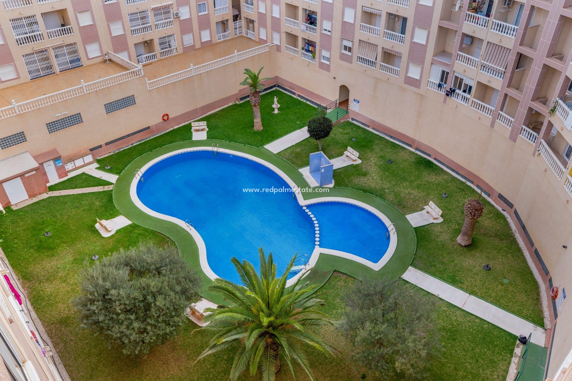 Herverkoop - Appartement -
Torrevieja - Parque las naciones