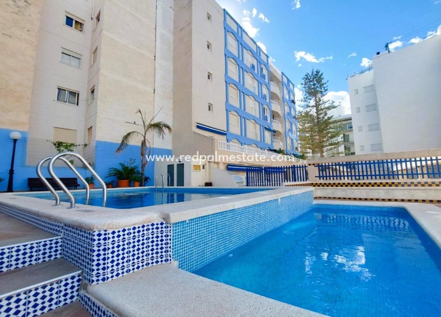 Herverkoop - Appartement -
Torrevieja - Playa de los locos