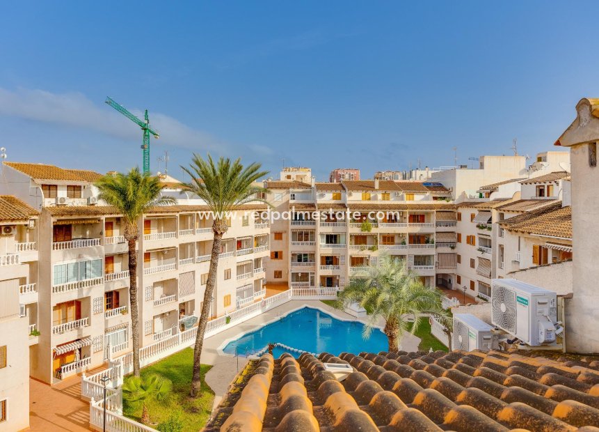 Herverkoop - Appartement -
Torrevieja - Playa de los Locos