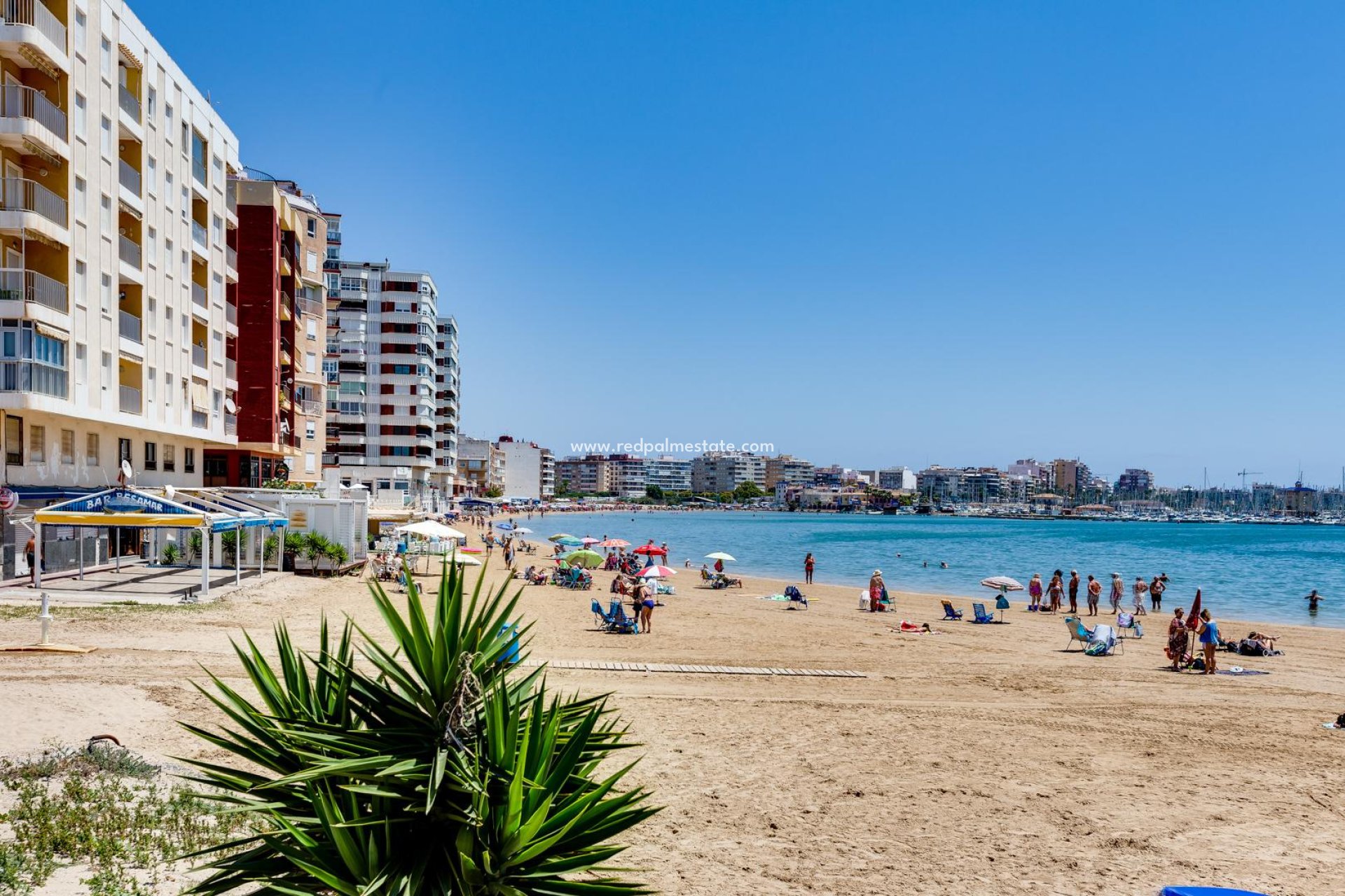 Herverkoop - Appartement -
Torrevieja - Playa del Acequión