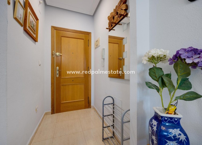 Herverkoop - Appartement -
Torrevieja - Playa del cura