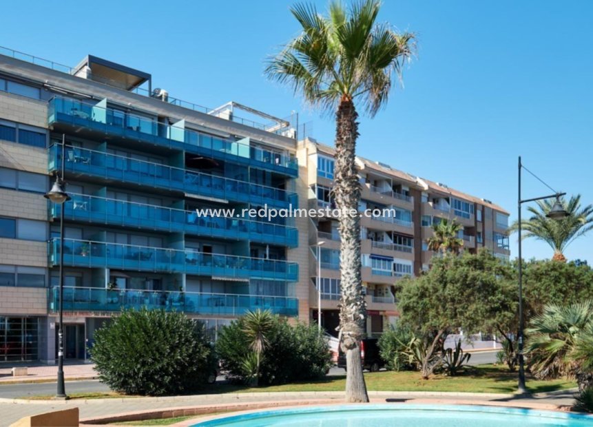 Herverkoop - Appartement -
Torrevieja - Playa del cura