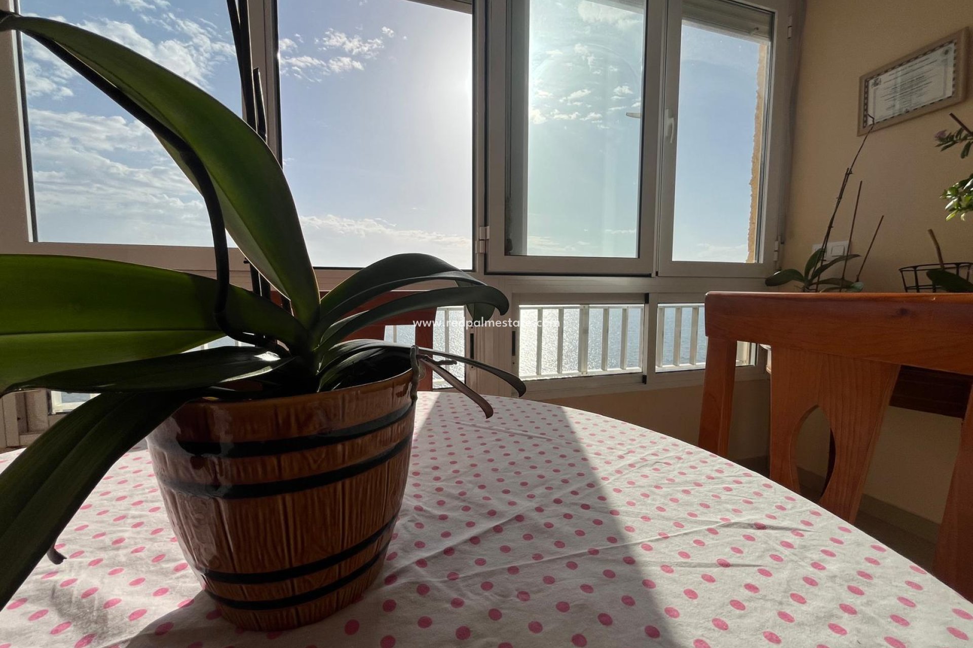 Herverkoop - Appartement -
Torrevieja - Playa del Cura