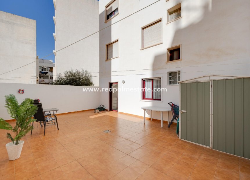 Herverkoop - Appartement -
Torrevieja - Playa del Cura