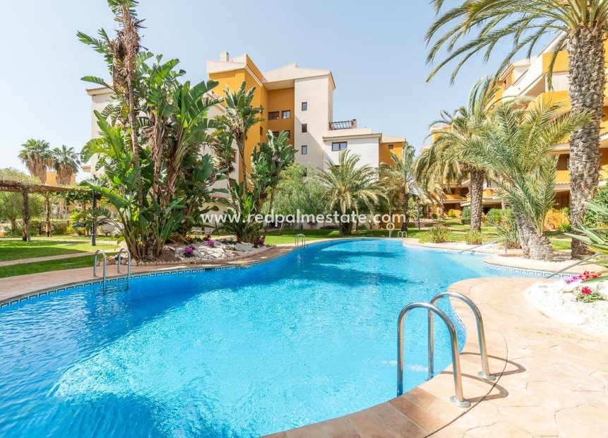 Herverkoop - Appartement -
Torrevieja - Punta Prima Torrevieja