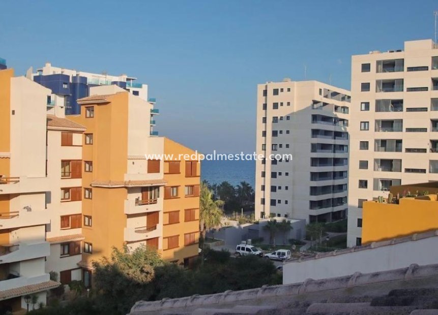 Herverkoop - Appartement -
Torrevieja - Punta prima