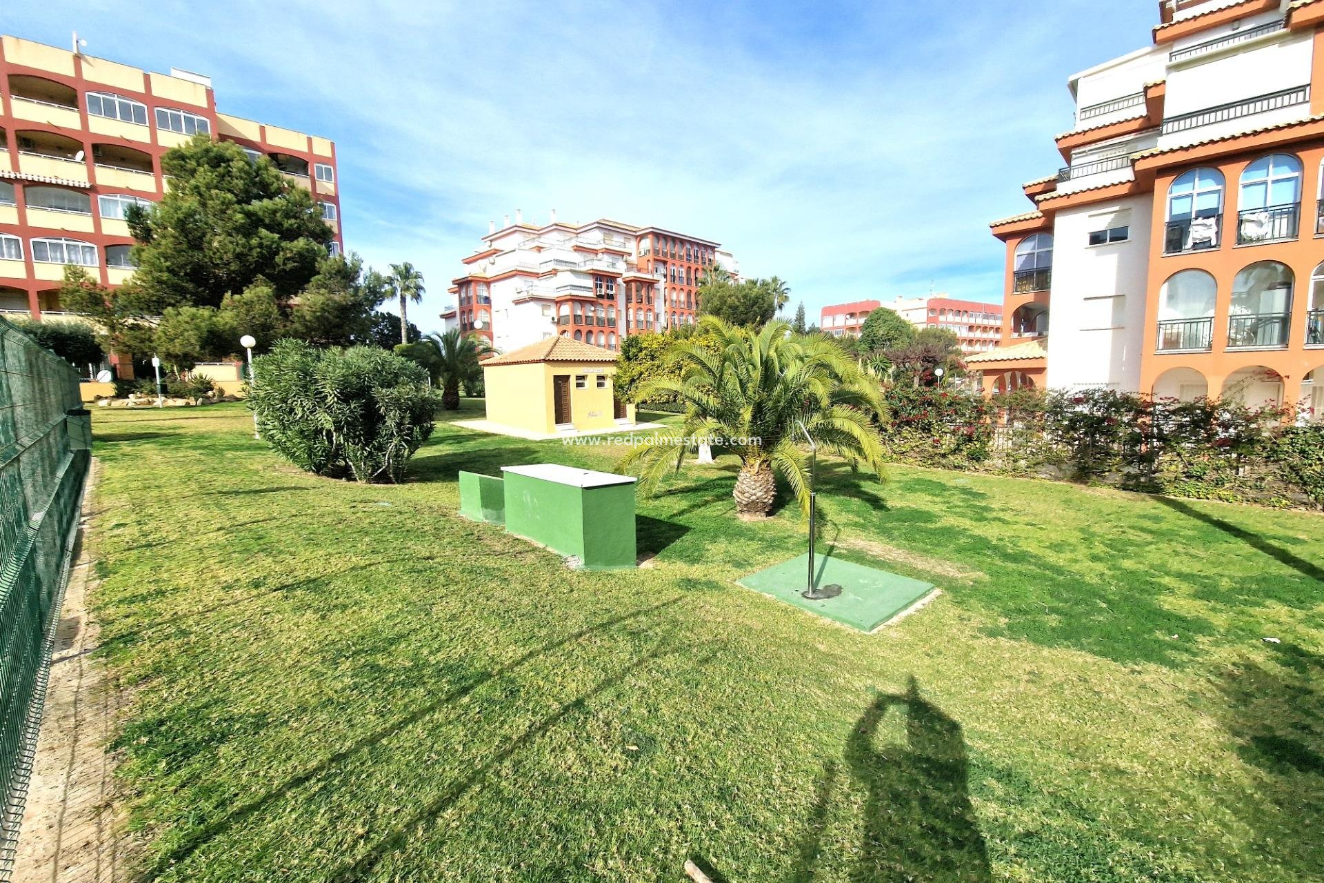 Herverkoop - Appartement -
Torrevieja - Torreblanca