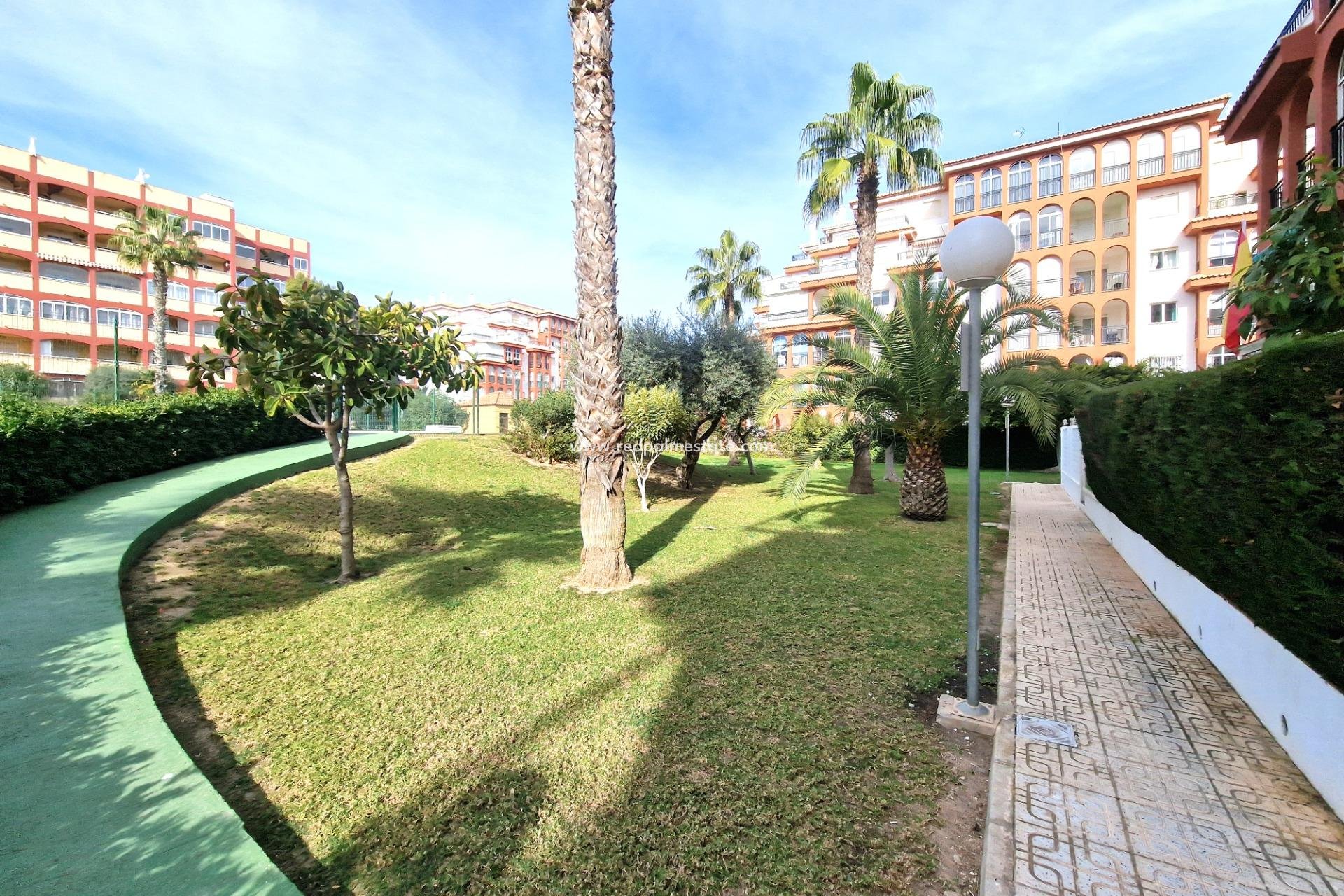 Herverkoop - Appartement -
Torrevieja - Torreblanca